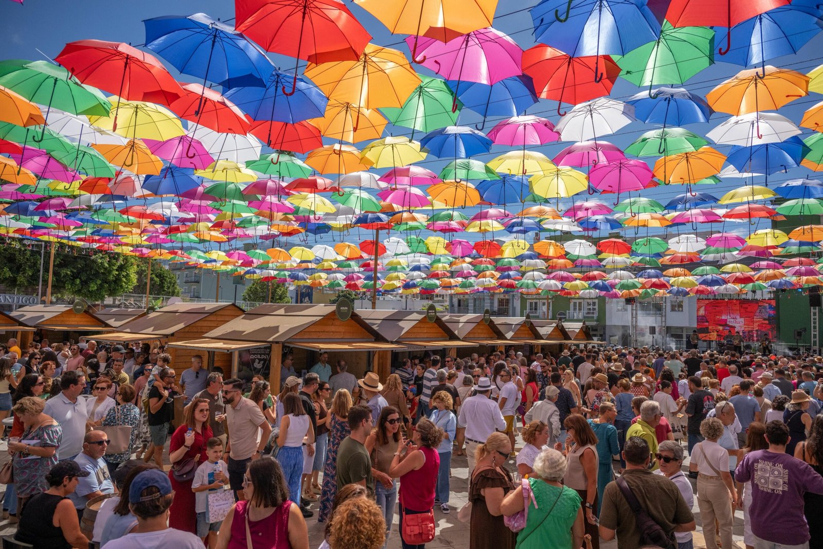 Éxito de la II Feria de Gastronomía Saborea La Palma: Satisfacción de Productores y Restauradores