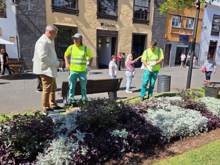 La Laguna embellece sus plazas con 2.800 flores de temporada