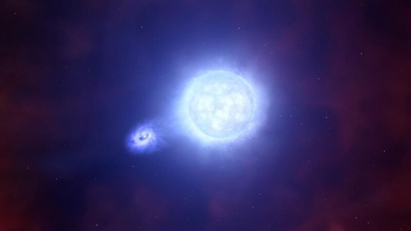 Las estrellas masivas prefieren vivir en pareja incluso en galaxias con baja metalicidad