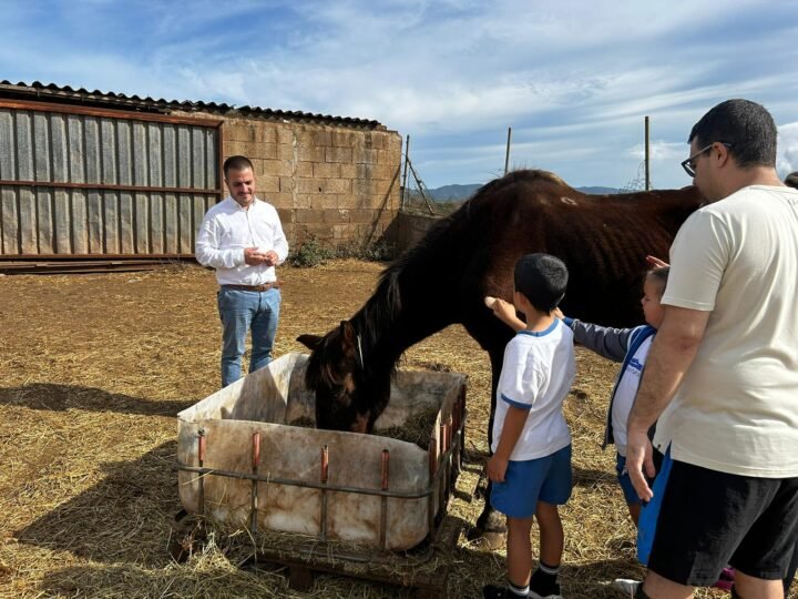 Caballos rescatados fomentan desarrollo emocional en La Laguna