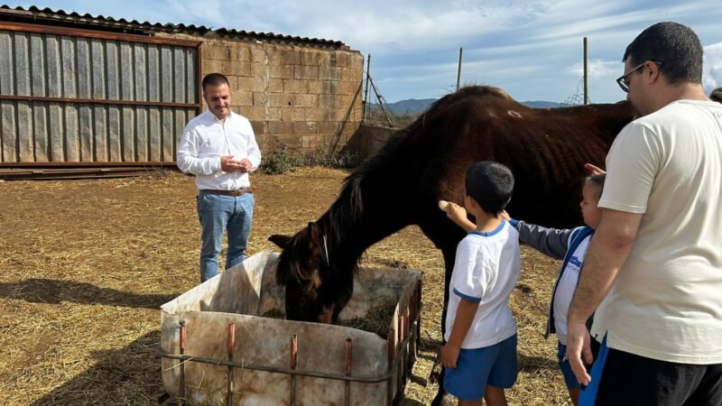 Caballos rescatados fomentan desarrollo emocional en La Laguna