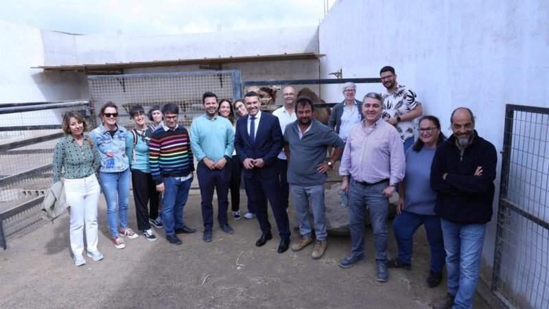 El Cabildo de Lanzarote celebra la inclusión del camello canario en las ayudas de la PAC