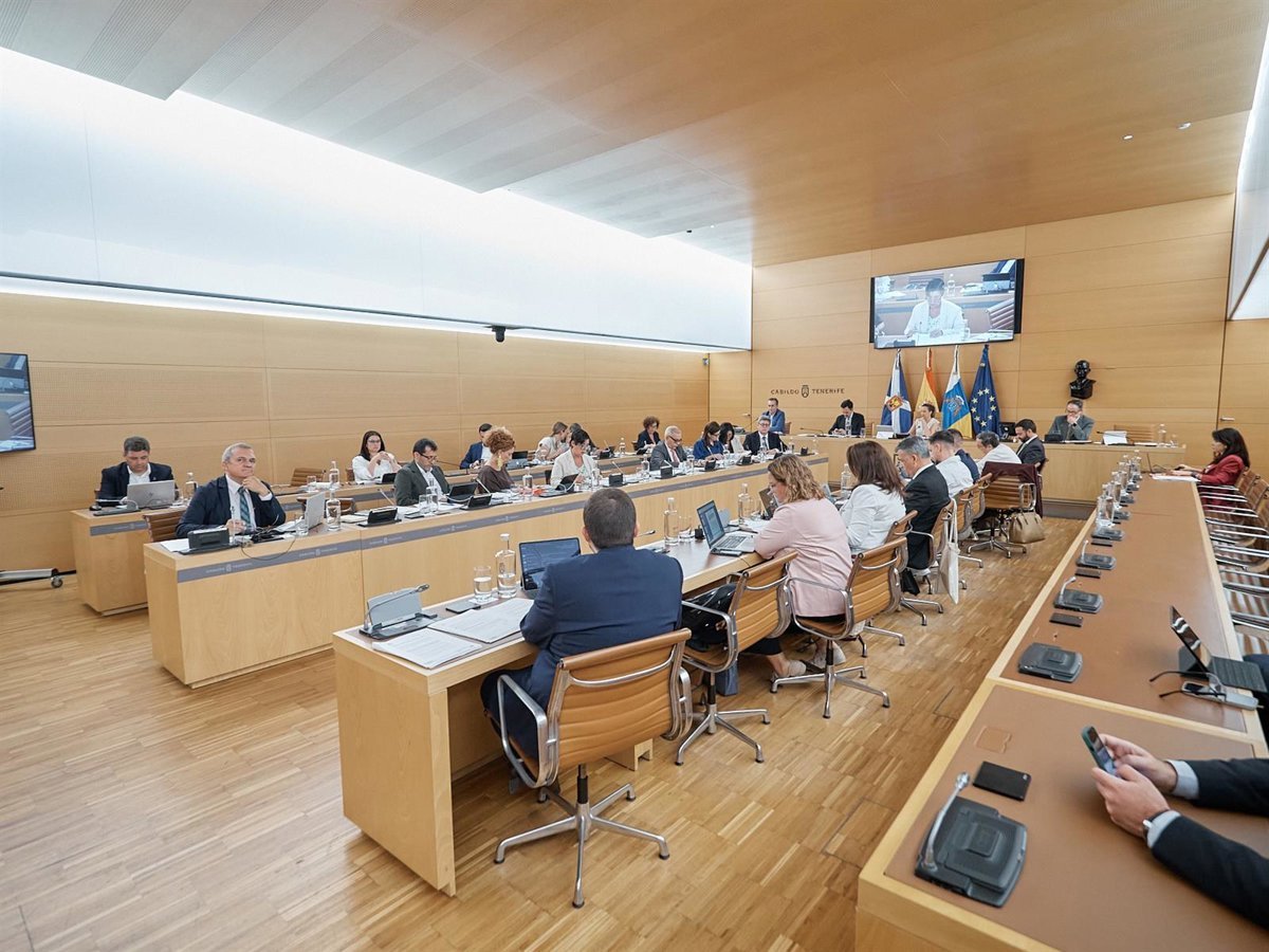 El Cabildo de Tenerife pide al Estado financiación para trenes comarcales