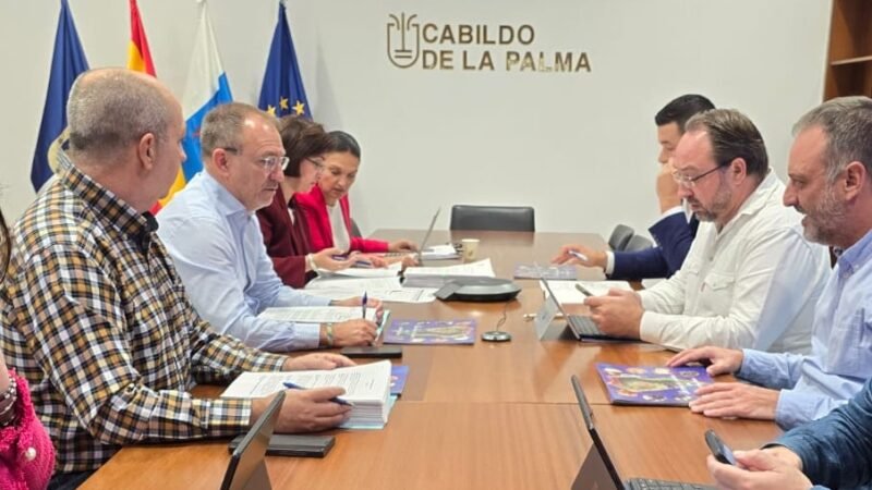 El Cabildo invierte en mejorar red de riego de viñedos de Llanos Negros