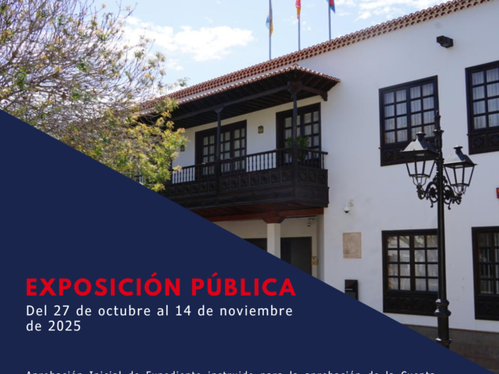 Exposición pública del Expediente Instruido para la Aprobación Inicial de la Cuenta General del ejercicio 2024 en Arona