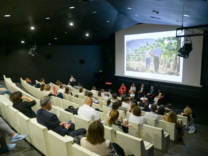 Innovación Social en Canarias: Transformando nuestro territorio