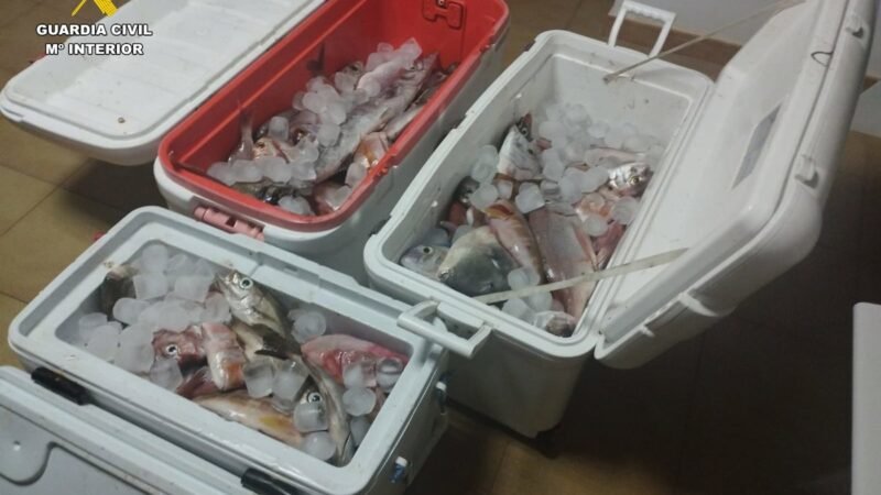 Intervienen 100 kilos de pescado a pescadores en Puerto Calero