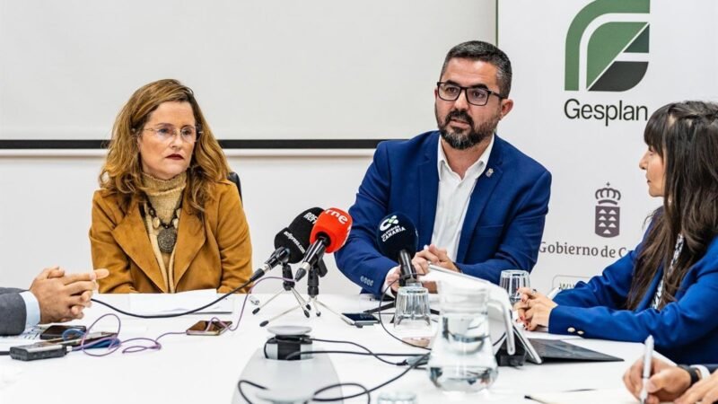 La Oficina Virtual del Reto Demográfico del Gobierno canario atiende más del 70% de las 245 solicitudes recibidas en español