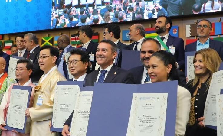 Lanzarote recibe distinción SIPAM de la FAO