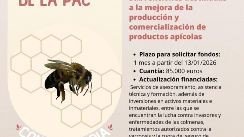 Convocadas ayudas del PEPAC para mejorar comercialización de productos de apicultura en Canarias.