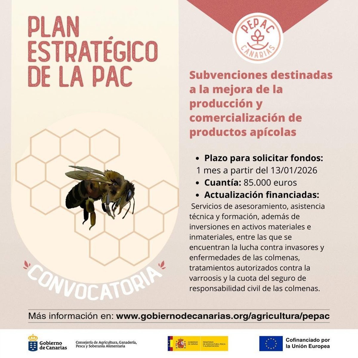 Convocadas ayudas del PEPAC para mejorar comercialización de productos de apicultura en Canarias.