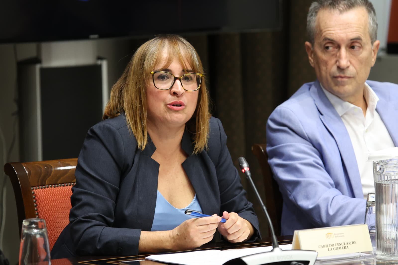 La Gomera apoya la nueva Ley de Accesibilidad y pide financiación y coordinación.