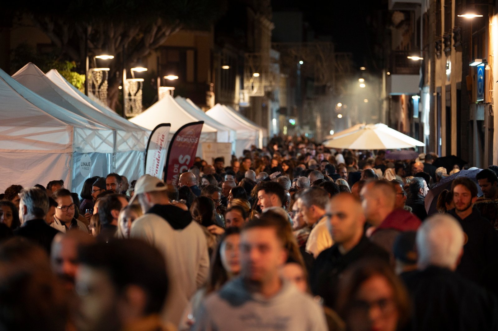 Noche en Tinto: Éxito de participación en el casco histórico con 16 bodegas representadas