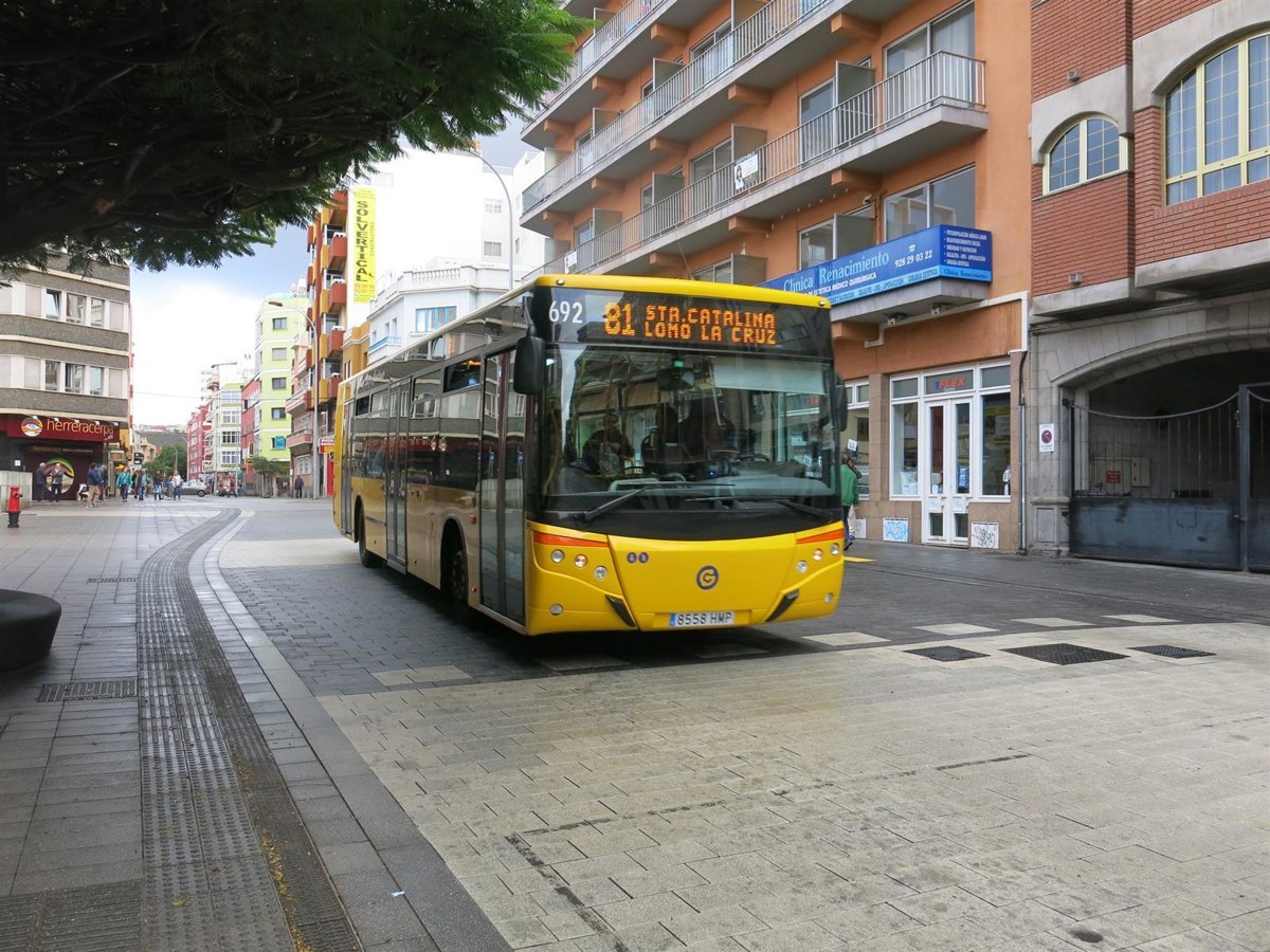 Reducción de lanzamientos de huevos contra guaguas en Halloween en Las Palmas de Gran Canaria.