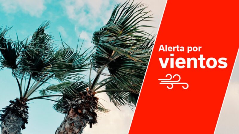 Alerta por viento en islas occidentales y Gran Canaria a partir de mañana