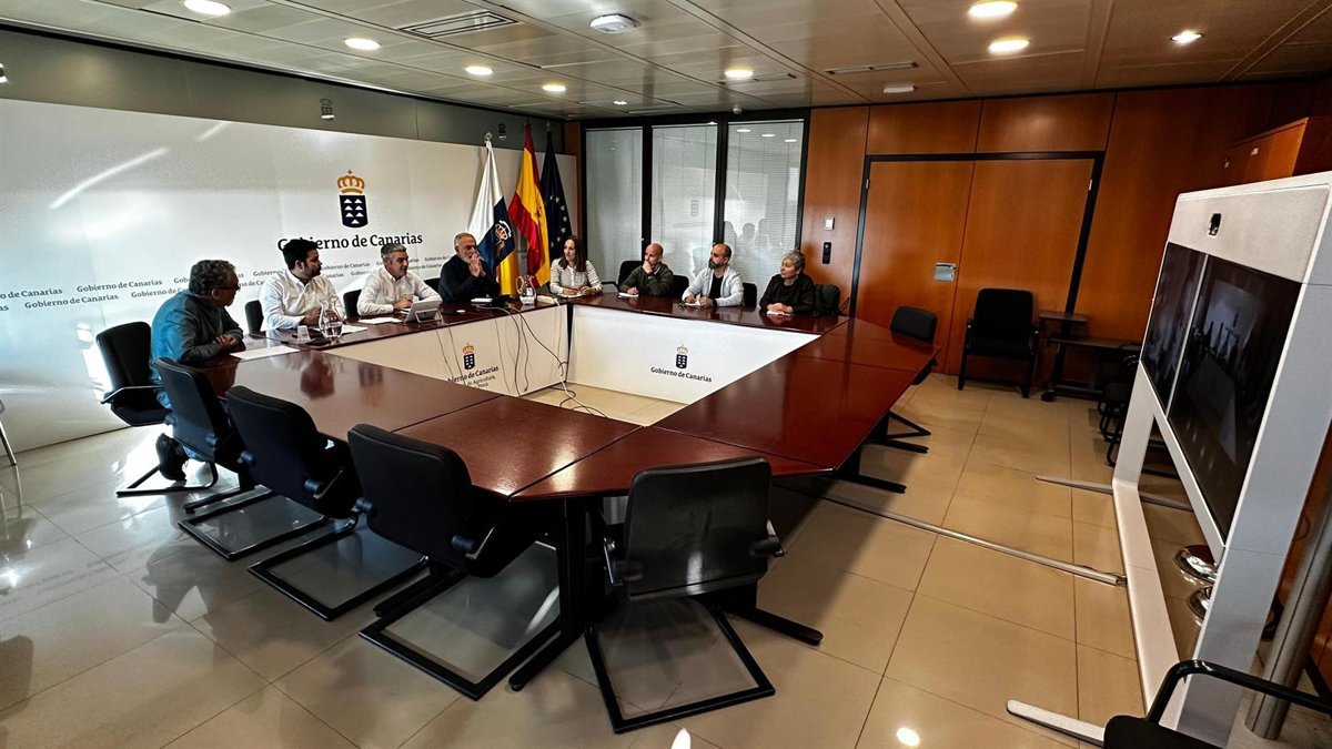 Canarias detecta 89 casos de filoxera en hojas, ya tratados y eliminados