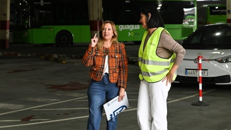 El Cabildo de Tenerife adjudica contrato de 1,1 millones para electrificar 8 guaguas interurbanas en Los Rodeos.