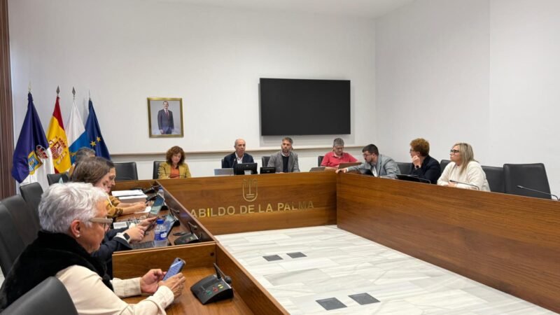 El Consejo Insular de Aguas aprueba presupuesto para 2026 enfocado en inversión y eficiencia hidráulica.