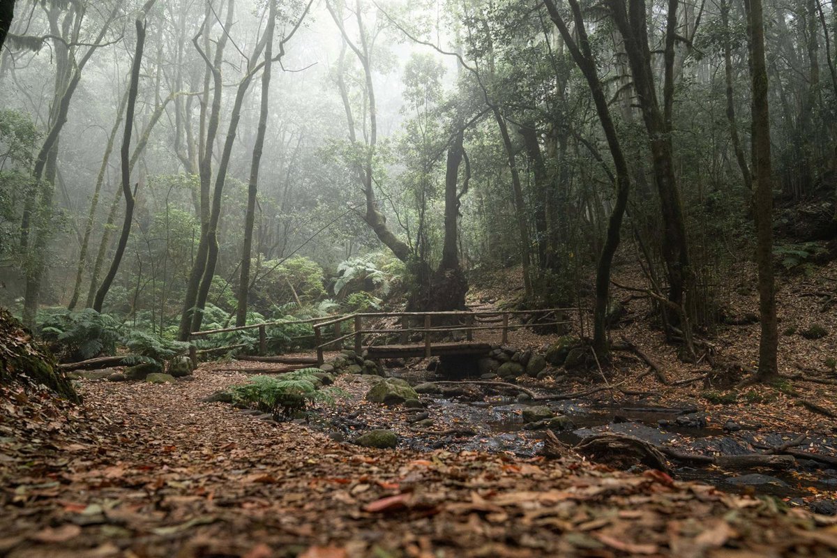 El Gobierno de Canarias apoya al Cabildo de La Gomera con 40.000 euros para su Plan de Acción Climática