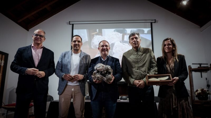 El ámbar gris de Nogales regresa a La Palma tras años de investigación