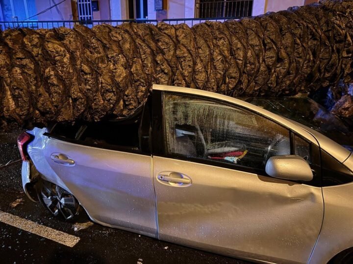 El archipiélago canario registra más de 1.130 incidentes por la borrasca ‘Emilia’