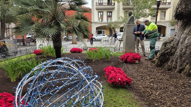 La Laguna se llena de color con flores de pascua en Navidad