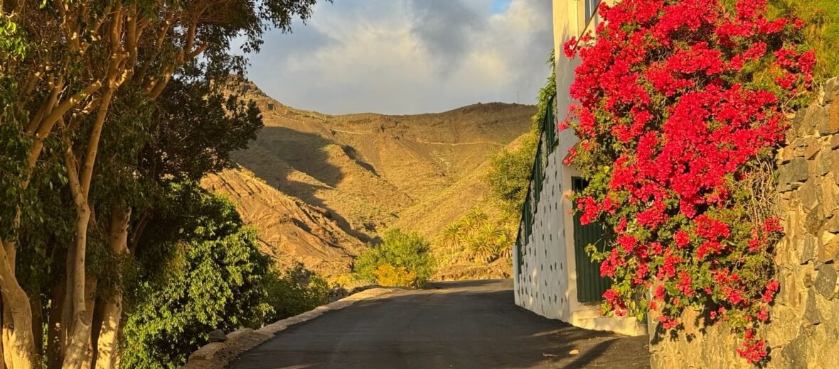 Valle Gran Rey concluye mejoras en caminos de Taguluche