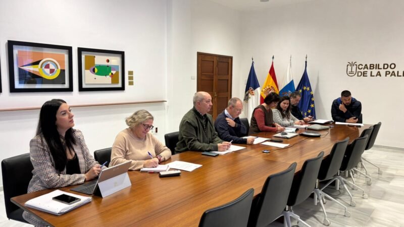 Avances en autorizaciones de viviendas en Puerto Naos y La Bombilla
