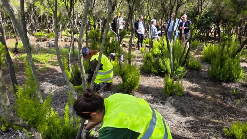 Finaliza el Plan de Empleo Rural en La Laguna con actuaciones ambientales en Mesa Mota y San Roque