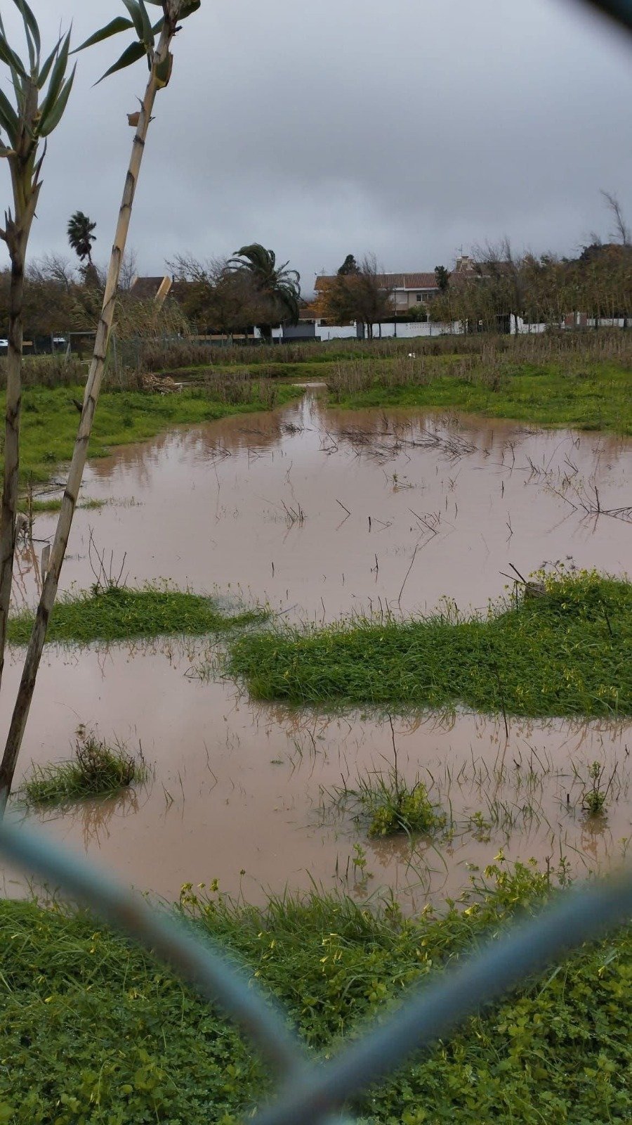 Incremento del nivel freático en la Vega Lagunera durante las últimas semanas.