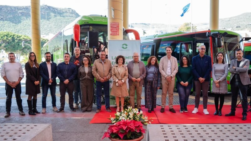 Nuevas guaguas para reforzar transporte público en La Gomera