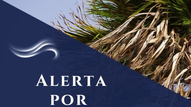 las noticias en español:

La situación actual en el país ha generado una serie de cambios significativos en la vida de los ciudadanos. A raíz de la pandemia, se han implementado medidas de distanciamiento social para contener la propagación del virus. Sin embargo, a pesar de los esfuerzos de las autoridades, el número de casos sigue en aumento.

Por otro lado, se han registrado protestas en varias ciudades en contra de las políticas del gobierno. Los manifestantes exigen una mayor transparencia y justicia en las decisiones que se están tomando. La situación se ha vuelto cada vez más tensa, con enfrentamientos entre la policía y los manifestantes.

En el ámbito económico, la crisis ha golpeado con fuerza a diversos sectores, provocando un aumento del desempleo y una disminución en la actividad comercial. Muchas empresas han tenido que cerrar sus puertas, dejando a miles de personas sin trabajo.

Ante esta situación, las autoridades han anunciado nuevas medidas para apoyar a los sectores más afectados por la crisis. Se espera que estas medidas ayuden a mitigar los efectos negativos de la pandemia en la economía del país. Sin embargo, la incertidumbre sigue siendo alta y se desconoce cuánto tiempo tomará la recuperación.

En resumen, el país se enfrenta a un panorama complicado en el que la salud, la economía y la estabilidad social se ven amenazadas. Es necesario que todos los sectores trabajen juntos para superar esta crisis y salir adelante.