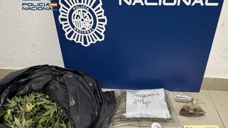 Detenido por tráfico de drogas el responsable de un club cannábico en Puerto de la Cruz