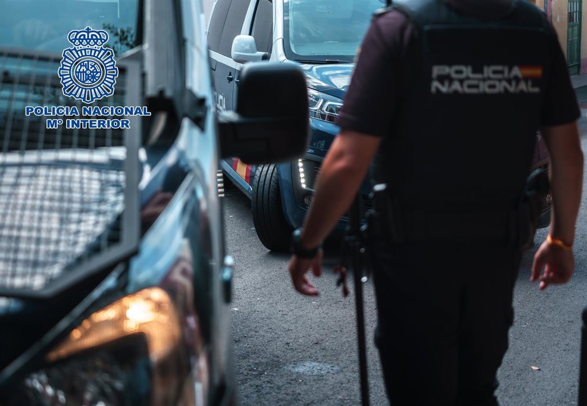 Detenidos dos presuntos autores de robos en Arona (Tenerife)