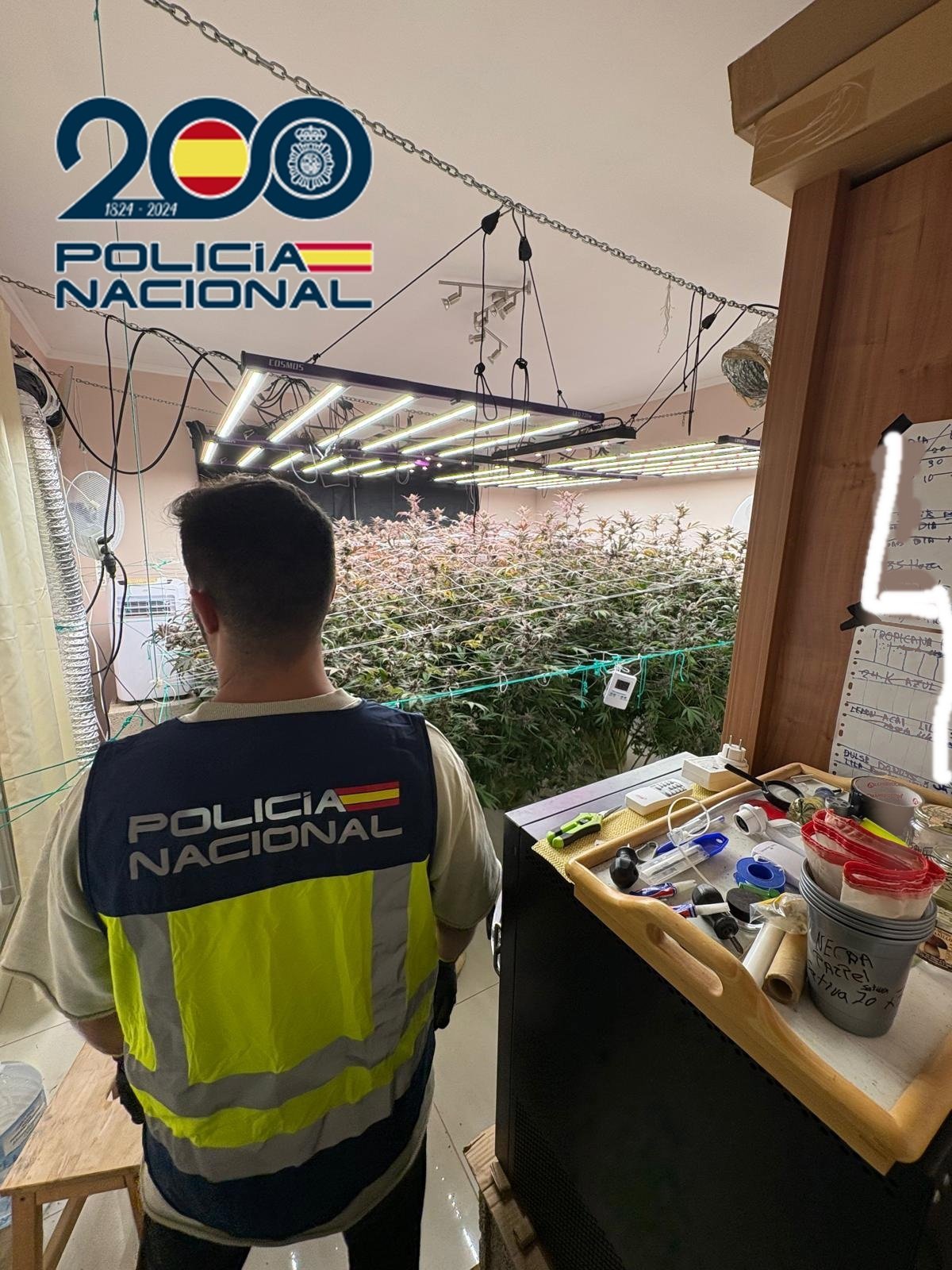 Detienen a hombre con cultivo indoor de marihuana en vivienda okupa de Pájara (Fuerteventura)