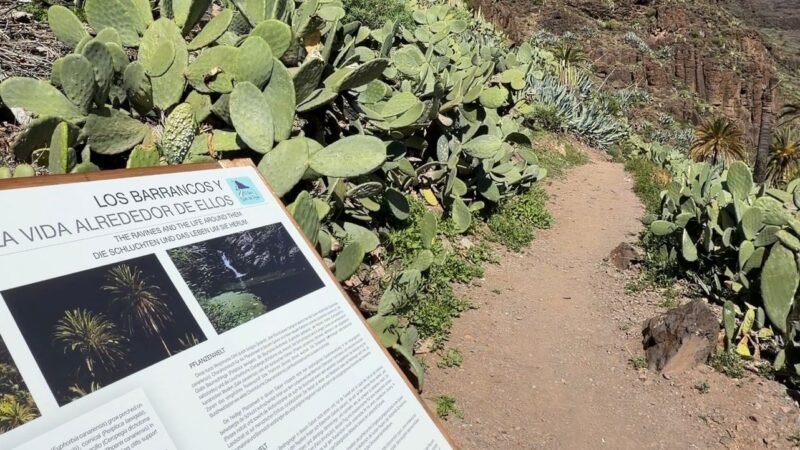 El Cabildo finaliza conservación del sendero El Guro – Salto del Agua