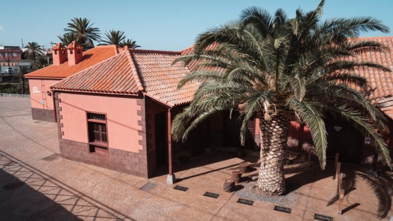 La Casa de la Miel de Palma: Más de 5.600 visitantes en 2025 fortaleciendo su papel dinamizador social y cultural.