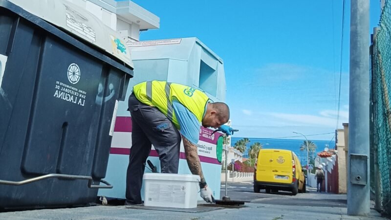 La Laguna realiza más de 1.300 actuaciones de desratización y desinsectación en 2025