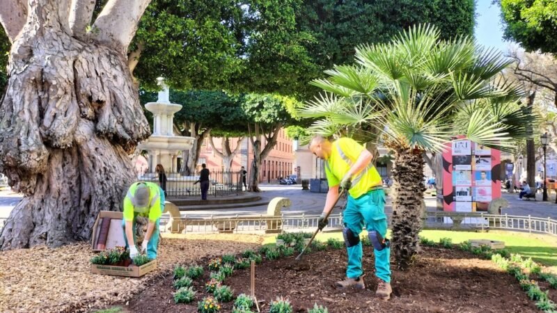 La Laguna renueva sus espacios ajardinados con coloridas flores de temporada