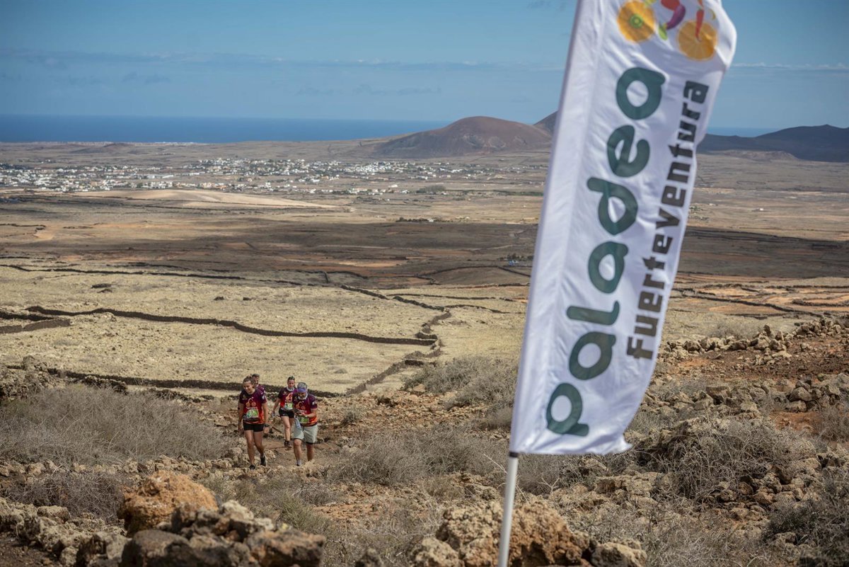 La VII Paladea La Oliva atraerá a más de 15.000 visitantes en Fuerteventura.