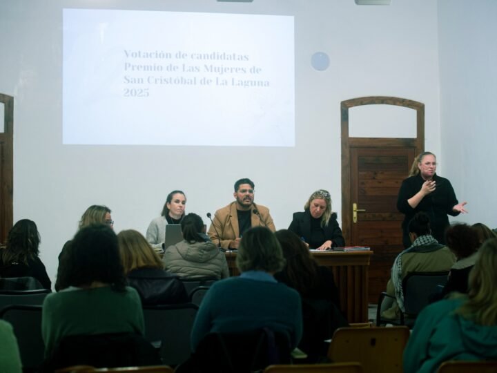 Primer pleno del año del Consejo de las Mujeres de La Laguna, el 3 de febrero.