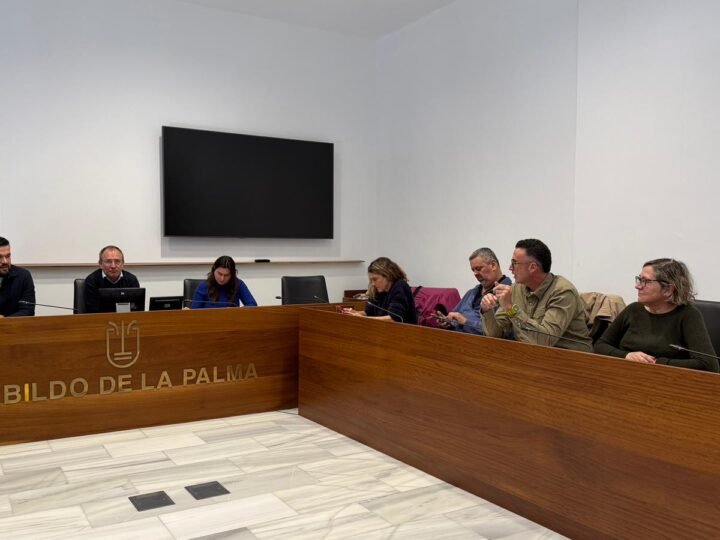 El Cabildo de La Palma avanza en un nuevo modelo de gestión de emergencias sectorizado y preciso