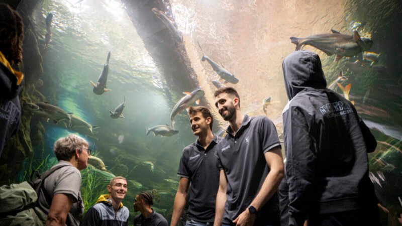 El Acuario Poema del Mar da la bienvenida a Dreamland Gran Canaria. – Bienvenida a Dreamland Gran Canaria en El Acuario Poema del Mar.