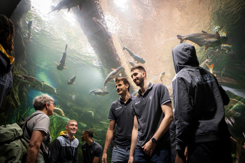 El Acuario Poema del Mar da la bienvenida a Dreamland Gran Canaria. – Bienvenida a Dreamland Gran Canaria en El Acuario Poema del Mar.