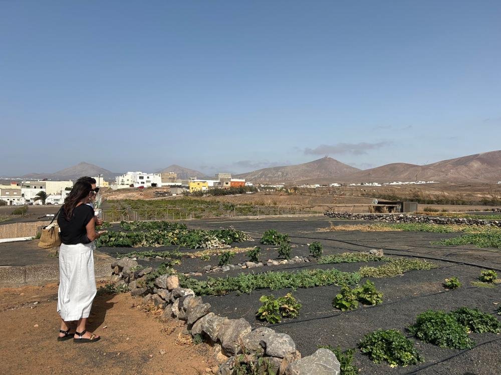 El Cabildo de Lanzarote cede terreno para promover la agricultura tradicional y la integración social