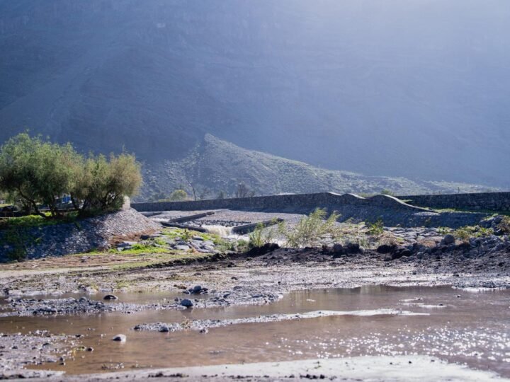 El Cabildo rebaja el PEIN a alerta y mantiene medidas preventivas vigentes