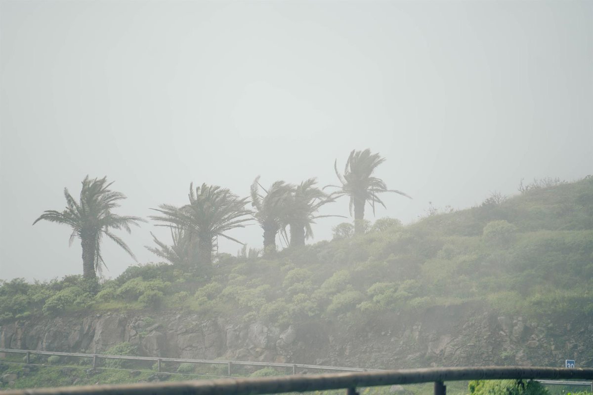 El Gobierno de Canarias solicita ayuda a la UME y envía contingente de seguridad y emergencias a La Gomera