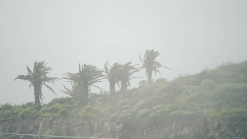 Gestión de incidencias por borrasca Therese en La Gomera.