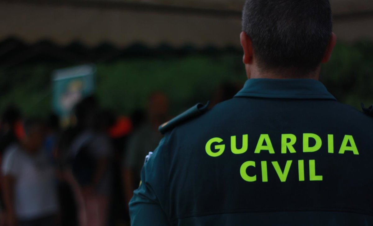 Investigan a mujer por herir a una persona y matar a su mascota en Arrecife (Lanzarote)