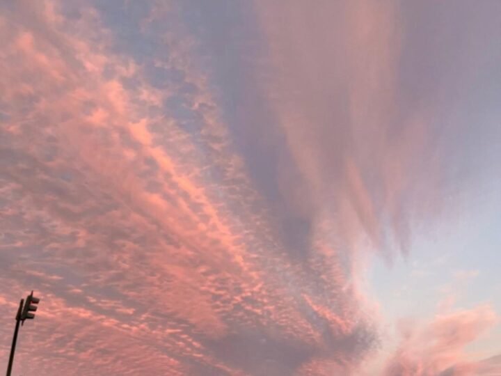 Muerte natural confirmada en autopsia del cuerpo hallado en la Avenida Marítima de Las Palmas de Gran Canaria